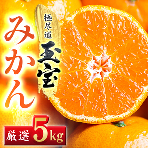 【先行受付】【愛媛名産】玉宝みかん【雫・・小玉】(5kg)【D64-2】【1340914】 YWTY002