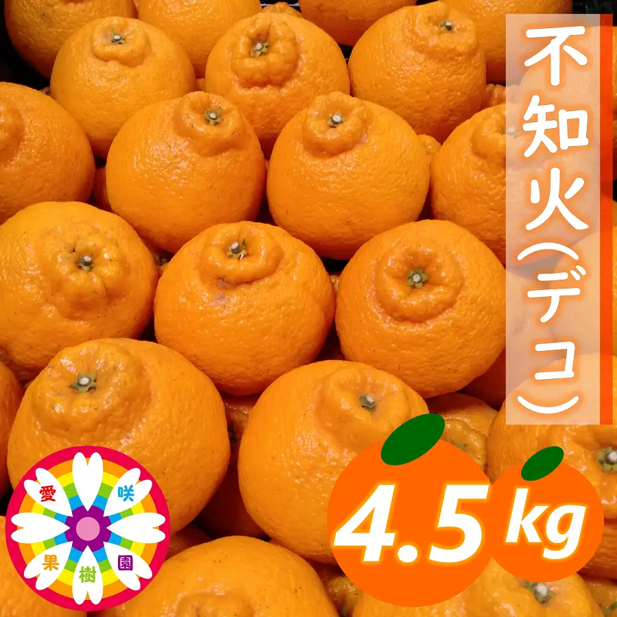 【先行受付】愛咲果樹園 「 不知火 ( デコ )」約4.5kg【C71-12】【1344721】 YWTS010