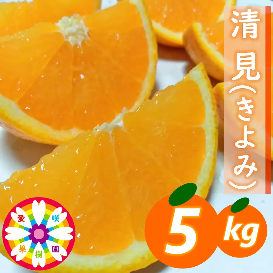 【先行受付】愛咲果樹園 「 不知火 ( デコ )」 訳あり 約8kg【C71-13】【1344724】 YWTS011