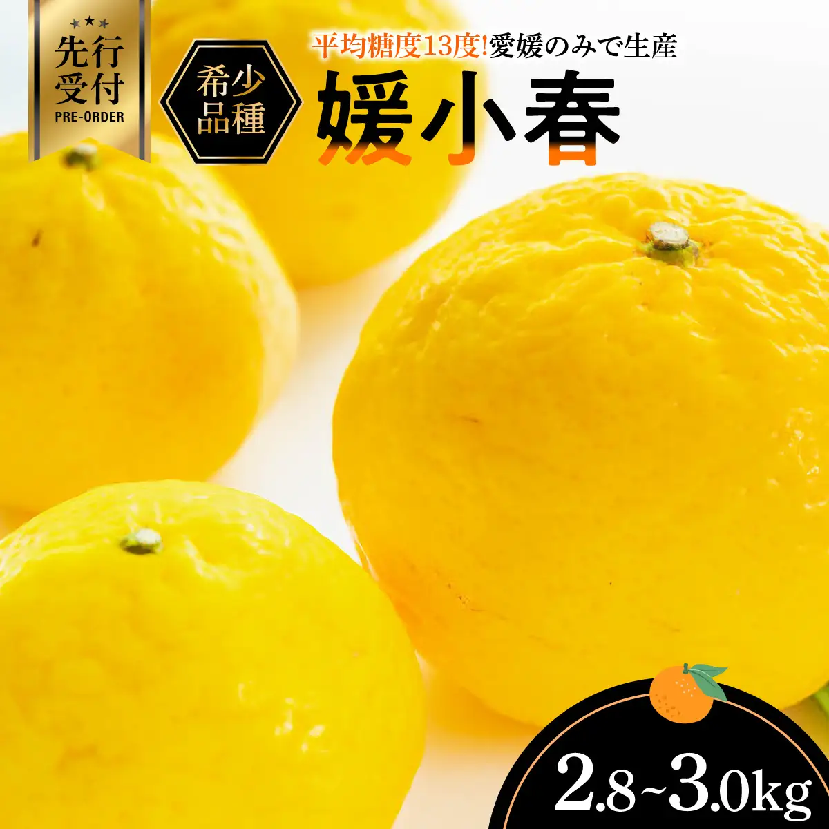 【先行受付】平均糖度13度!愛媛のみで生産の希少品種「媛小春」(2.8kg～3.0kg)【D56-18】【配送不可地域：離島】【1262001】 YWTAS012