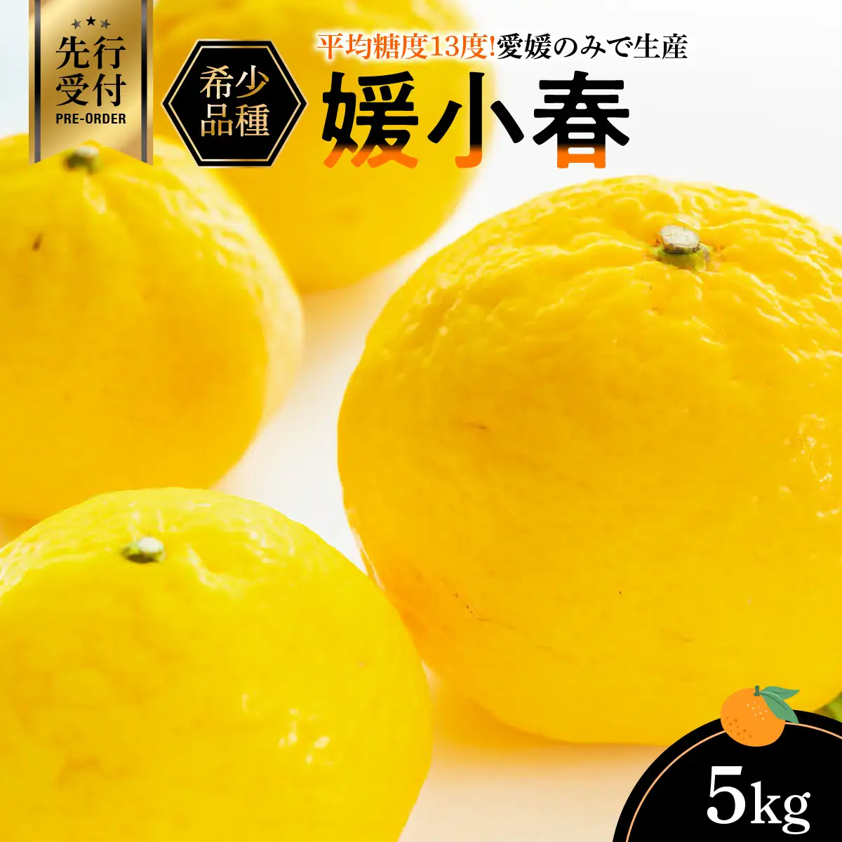 【先行受付】平均糖度13度!愛媛のみで生産の希少品種「媛小春」(5kg)【E56-19】【配送不可地域：離島】【1262003】 YWTAS013