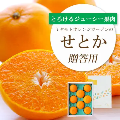 【先行受付】 とろける濃厚柑橘 せとか ギフトボックス入り【E25-98】【1360096】 YWTAP049