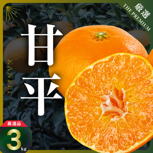 【先行受付】三代目の甘平3kg【C31-1】【1042519】 YWTAC001
