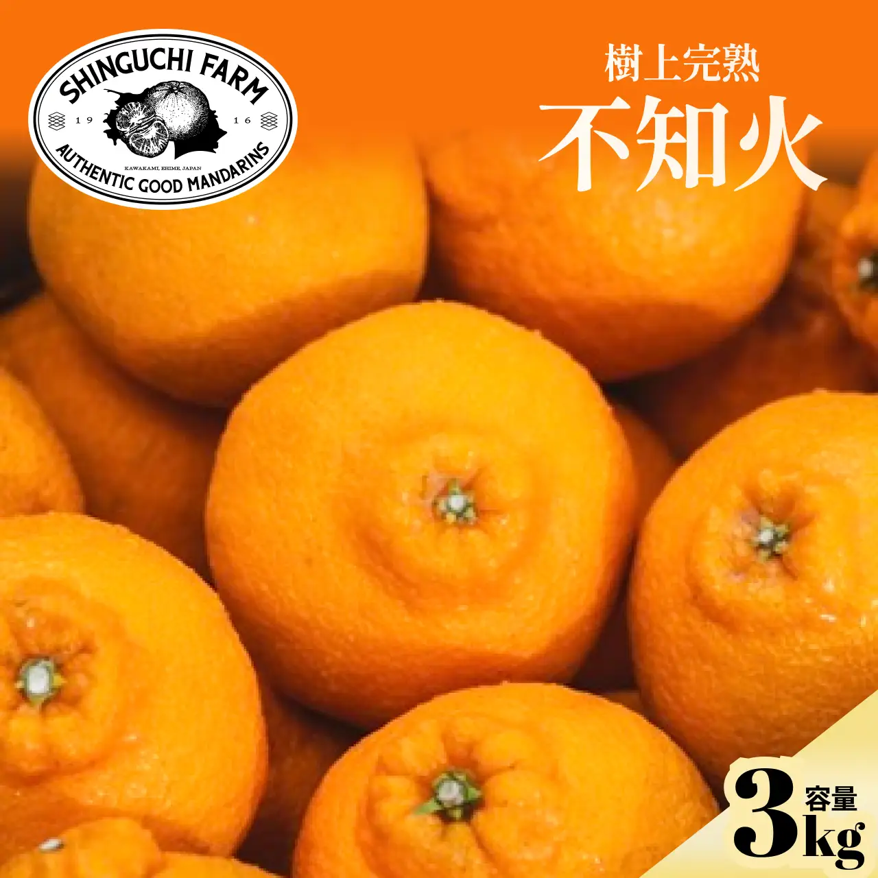 【先行受付 2027年発送】不知火(デコ)3kg甘みと程よい酸味のバランスが絶妙【C70-29】【1470656】 YWTK029