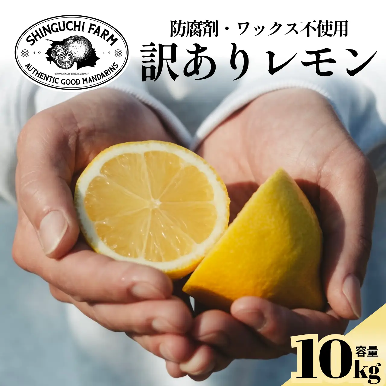 【先行受付】【太陽の恵みをギュッと凝縮】訳あり 愛媛レモン10kg 防腐剤・ワックス不使用【F70-23】【1470681】 YWTK023
