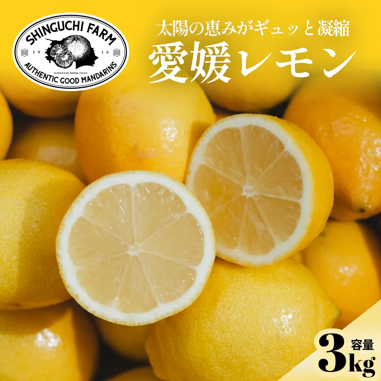 【先行受付 2027年発送】愛媛育ちのレモン 3kg 防腐剤・ワックス不使用【C70-20】【1470687】 YWTK020