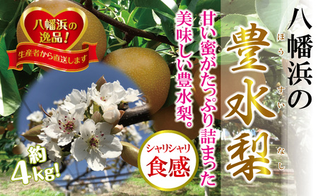 八幡浜の梨、果汁たっぷり!!「豊水」4キロ【D39-37】【配送不可地域：離島】【1316567】 YWTF017