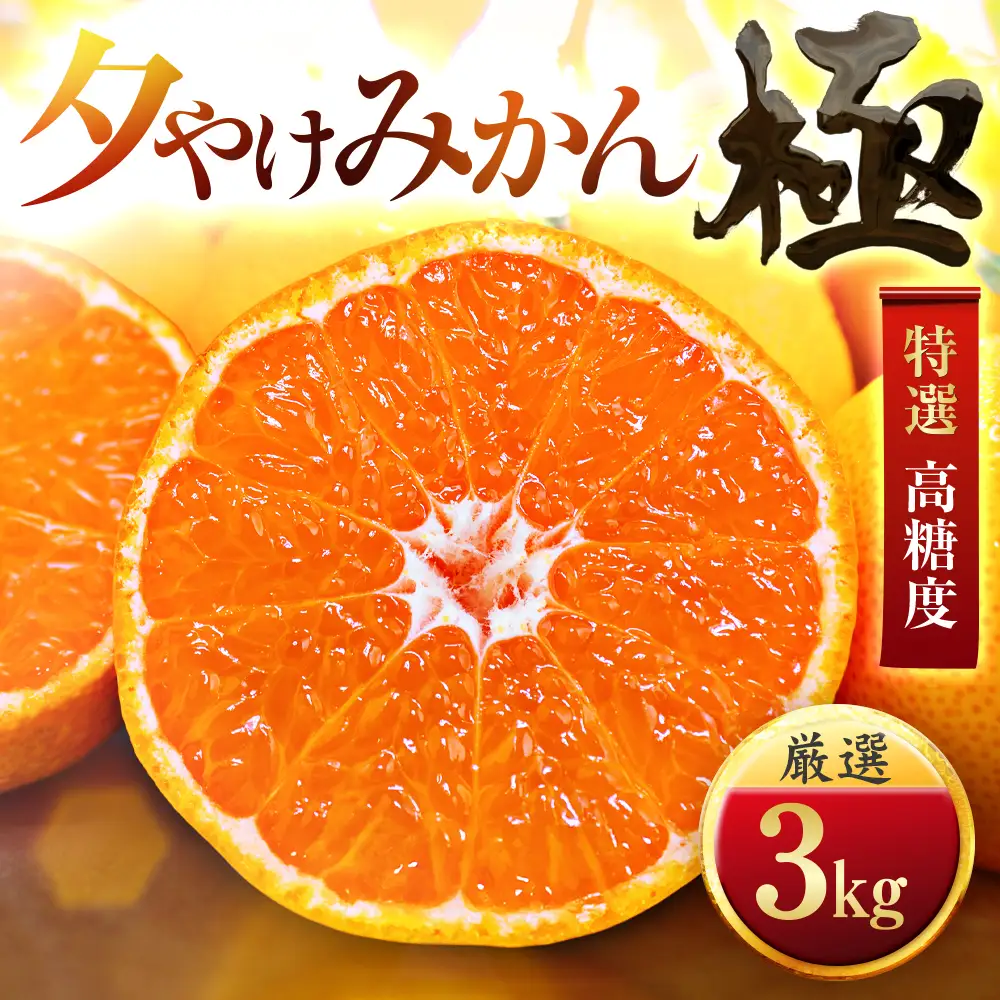 【先行受付】【甘みが濃縮されたみかん】愛媛で育った夕やけみかん【極】3kg(小玉)【C49-26】【1508878】 YWTZ018