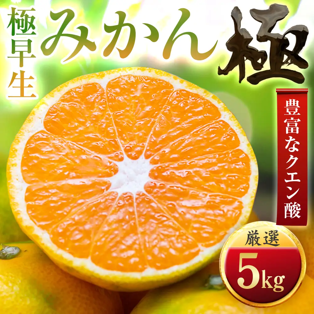 【先行受付】【今年最初のみかん】極早生みかん【極】5kg　愛媛県産 【C49-33】【1508894】 YWTZ025
