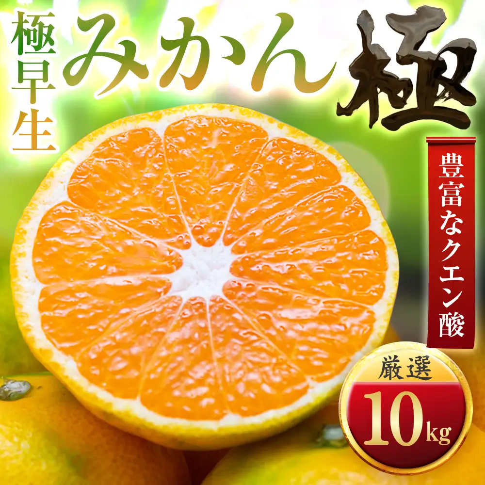 【先行受付】【今年最初のみかん】極早生みかん【極】10kg（小玉）　愛媛県産 【F49-36】【1508907】 YWTZ028