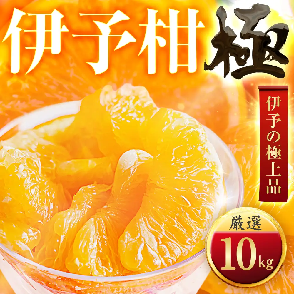 【先行受付】【昔ながらの美味しさ】伊予柑【極】10kg　愛媛県産 【F49-44】【1509741】 YWTZ036