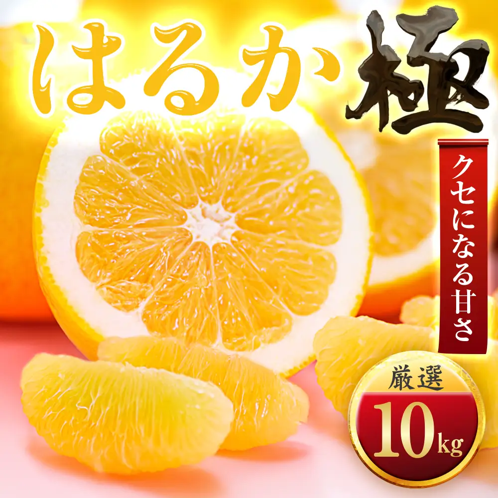 【先行受付】【見た目に騙される】はるか【極】10kg　愛媛県産【F49-50】【1509747】 YWTZ042