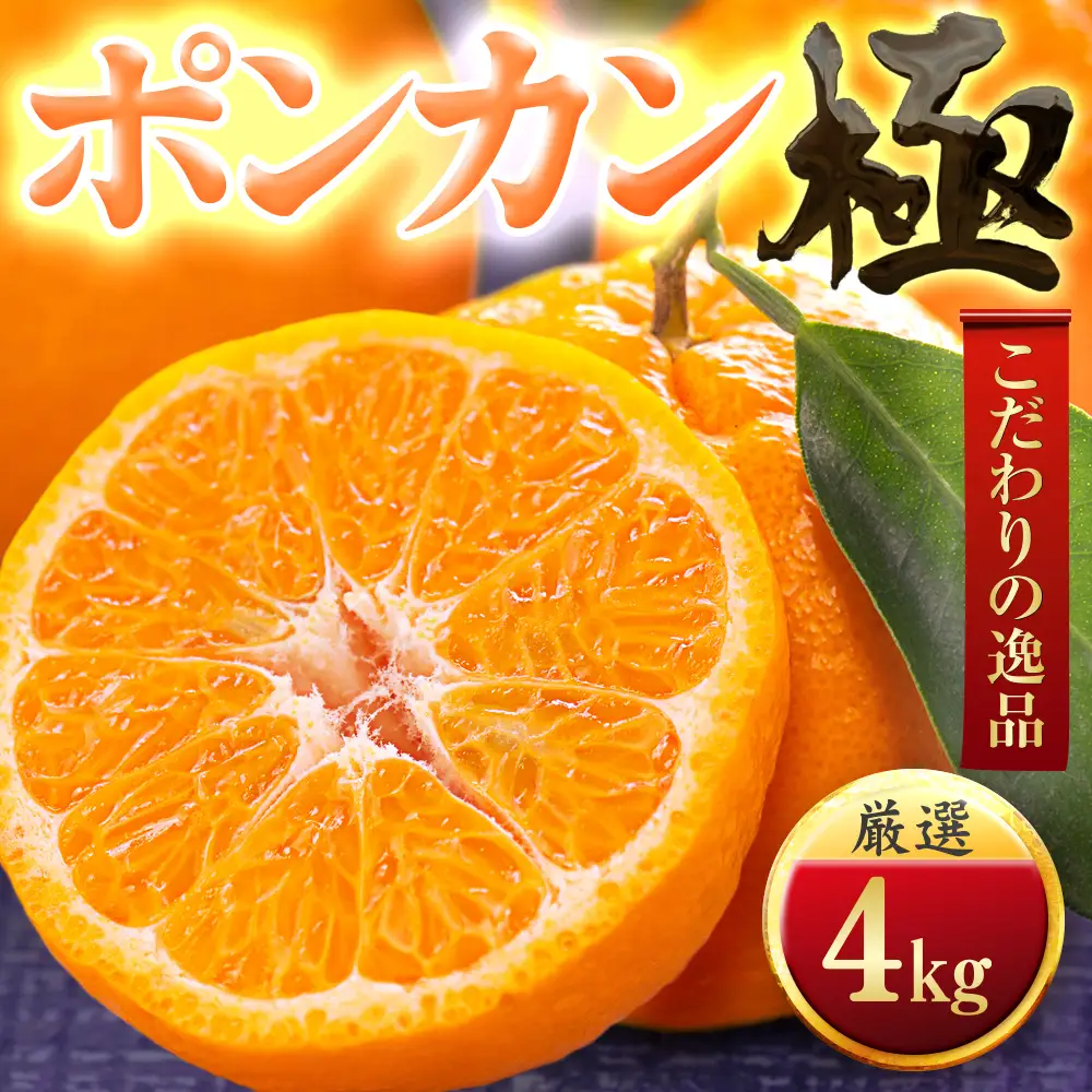 【先行受付】【冬の定番柑橘】ポンカン【極】4kg　愛媛県産【C49-54】【1509751】 YWTZ046