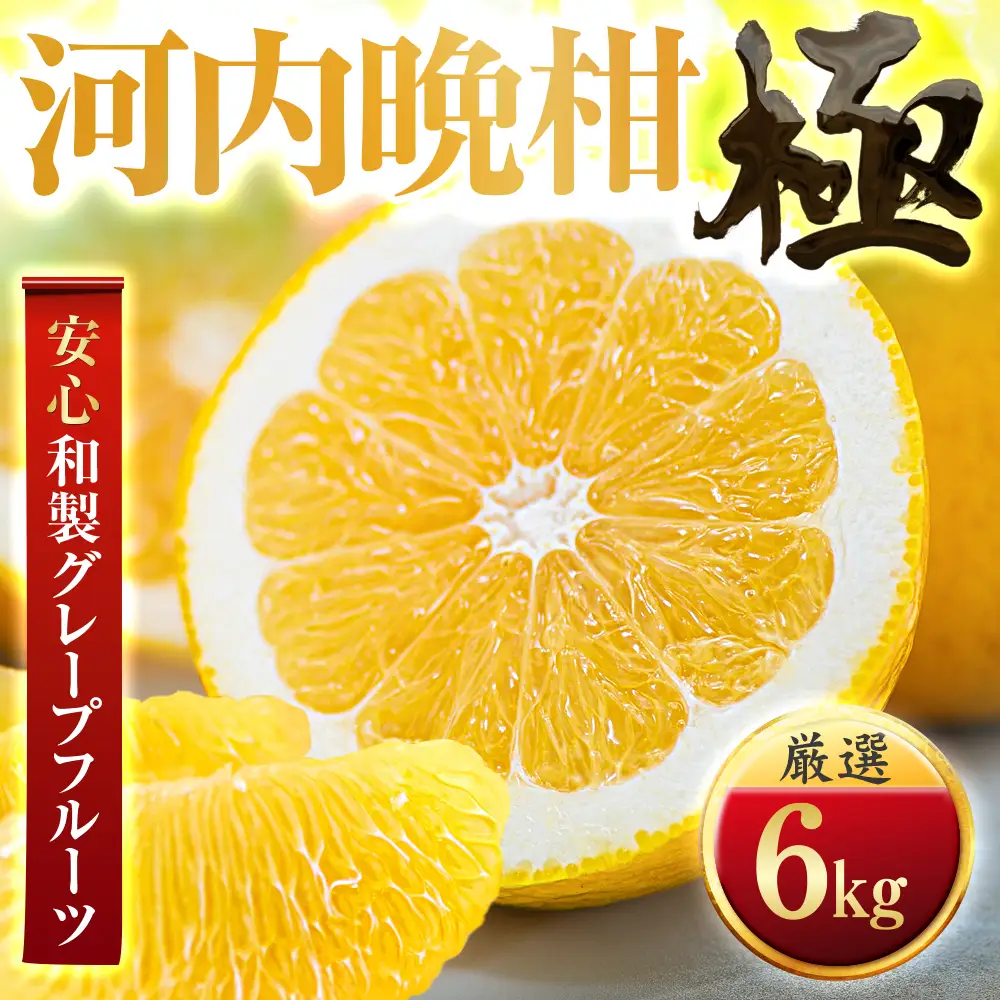 【先行受付】【和製グレープフルーツ】河内晩柑【極】6kg　愛媛県産 【C49-61】【1509764】 YWTZ053