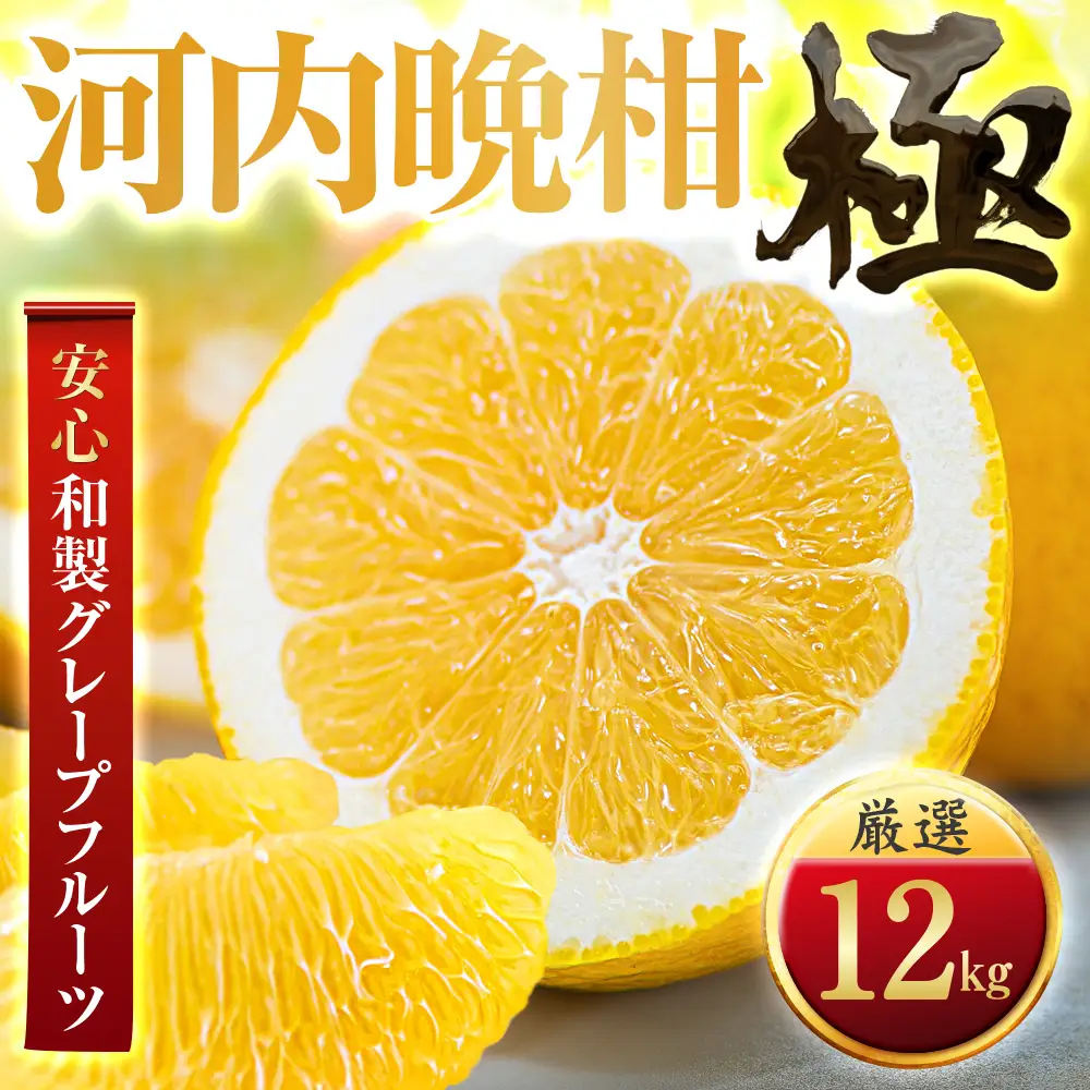 【先行受付】【和製グレープフルーツ】河内晩柑【極】12kg　愛媛県産 【F49-62】【1509765】 YWTZ054