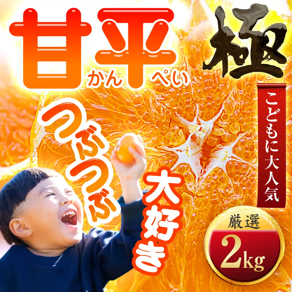 【先行受付】【売切れ前に!】シャキシャキ甘い♪♪【甘平】2kg　愛媛県産 【D49-63】【1509766】 YWTZ055