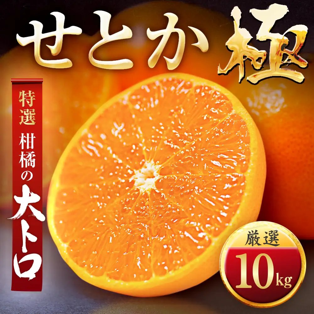 【先行受付】【毎年大人気】柑橘の大トロ!【せとか】10kg　愛媛県産【H49-68】【1509771】 YWTZ060