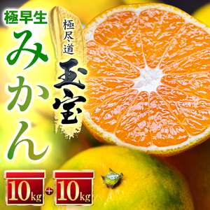 【先行受付】【愛媛名産】極早生みかん 20kg【H64-21】【1510672】 YWTY010