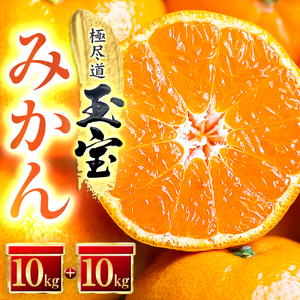 【先行受付】【愛媛名産】玉宝みかん【雫・・小玉】 20kg【H64-31】【1510740】 YWTY020