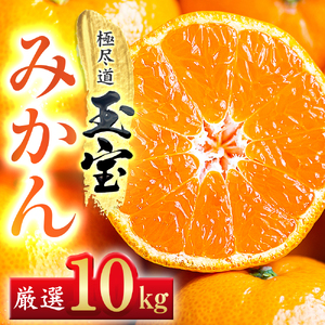 【先行受付】【愛媛名産】玉宝みかん 10kg【G64-27】【1510741】 YWTY016