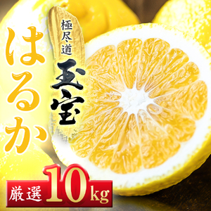 【先行受付】【愛媛名産】玉宝はるか　10kg【F64-57】【1511219】 YWTY046