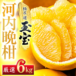【先行受付】【愛媛名産】玉宝河内晩柑　6kg【C64-53】【1511221】 YWTY042
