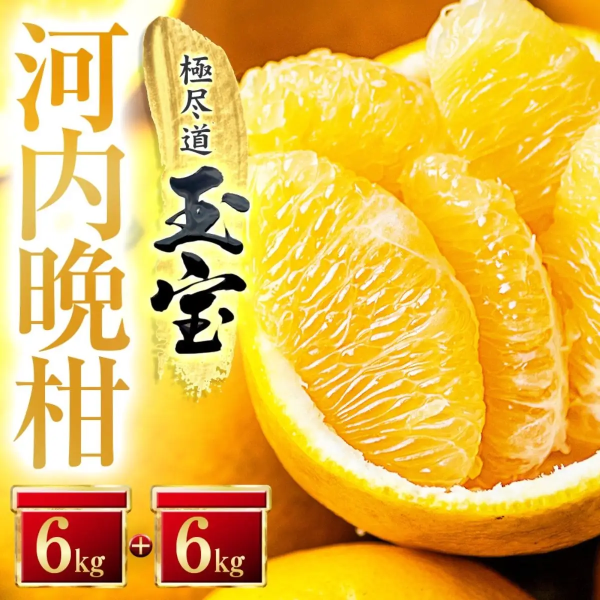 【先行受付】【愛媛名産】玉宝河内晩柑　12kg【F64-54】【1511222】 YWTY043