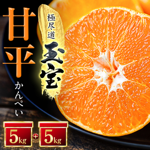 【先行受付】「玉宝ブランド」【甘平】10kg【H64-45】【1511265】 YWTY034