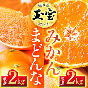 【先行受付】「玉宝ブランド」【まどんな】 2kg + 【玉宝みかん】 2kgセット【E64-33】【1511367】 YWTY022