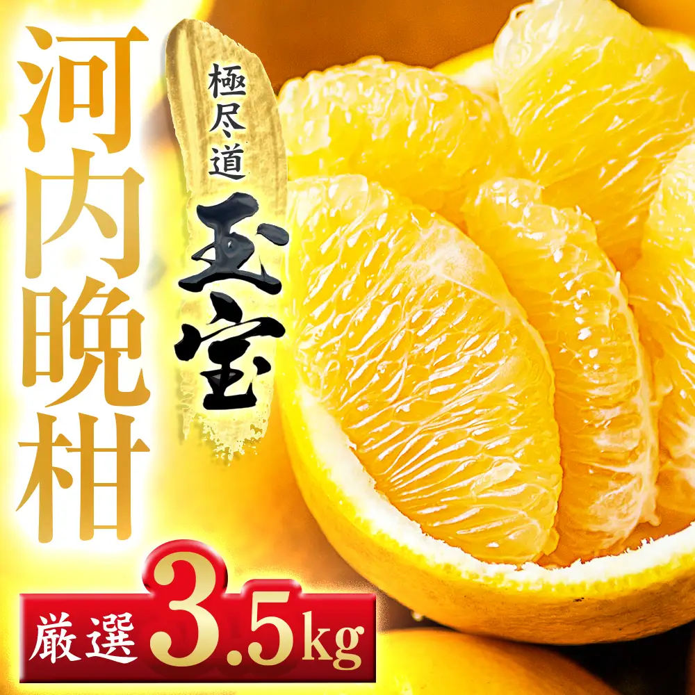 【先行受付】【愛媛名産】玉宝河内晩柑　3.5kg【C64-52】【1511374】 YWTY041