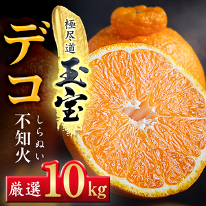 【先行受付】【愛媛名産】玉宝デコ(不知火)　10kg【H64-51】【1511377】 YWTY040