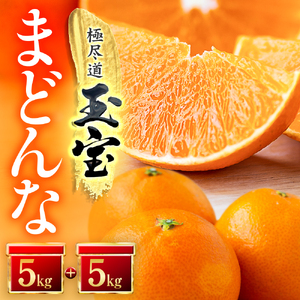 【先行受付】「玉宝ブランド」【まどんな】10kg　※紅まどんな と同品種　【H64-42】【1511380】 YWTY031