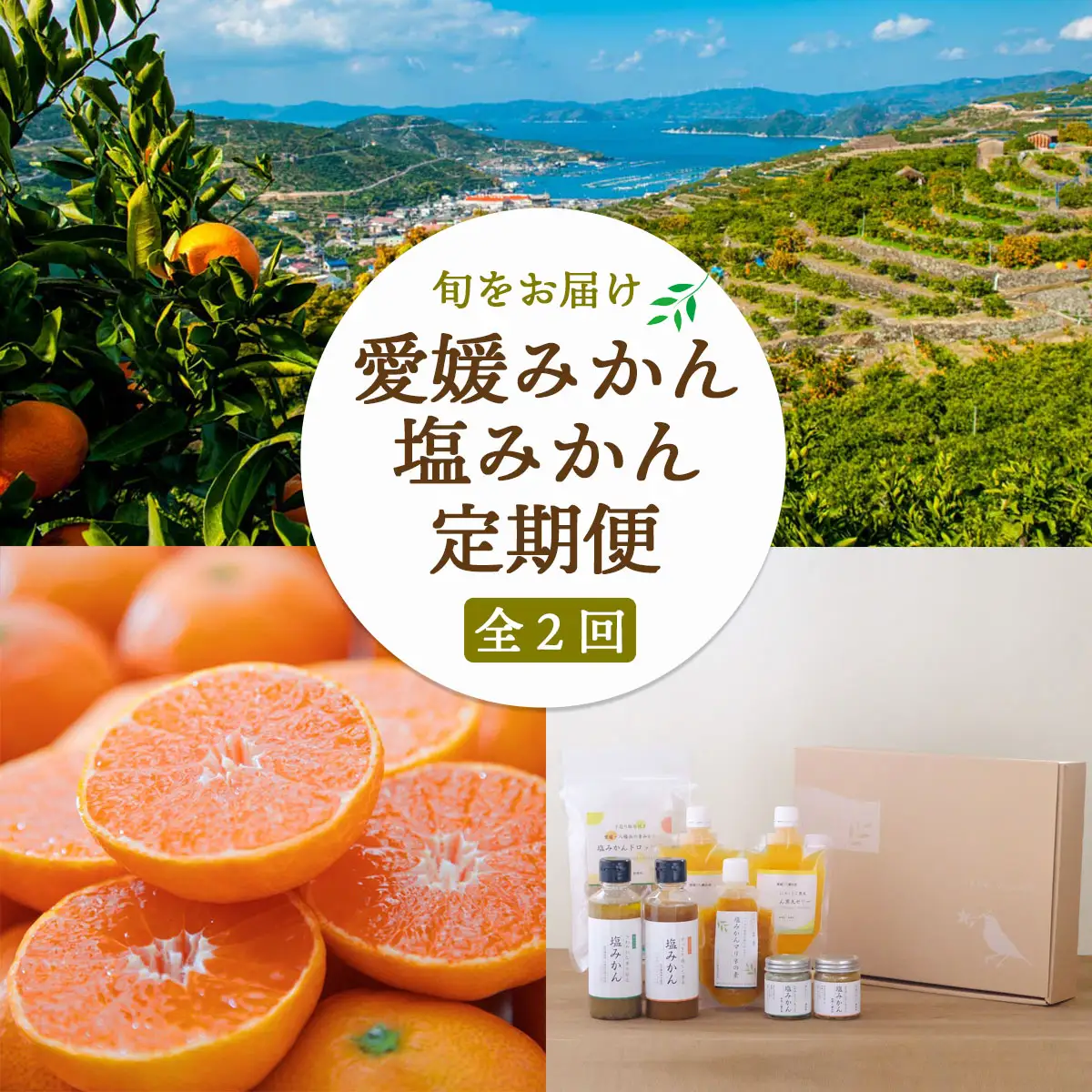 【発送月固定定期便】愛媛みかん＆新しい調味料 塩みかんセット【F25-162】全2回【4050220】 YWTAP104