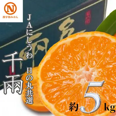 【先行受付】JAにしうわの季節の柑橘(日の丸共選 「千兩」 約5kg)【D08-2】 YWTV002