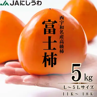 【先行受付】JAにしうわの季節のくだもの(富士柿5kg)【E08-23】 YWTV010