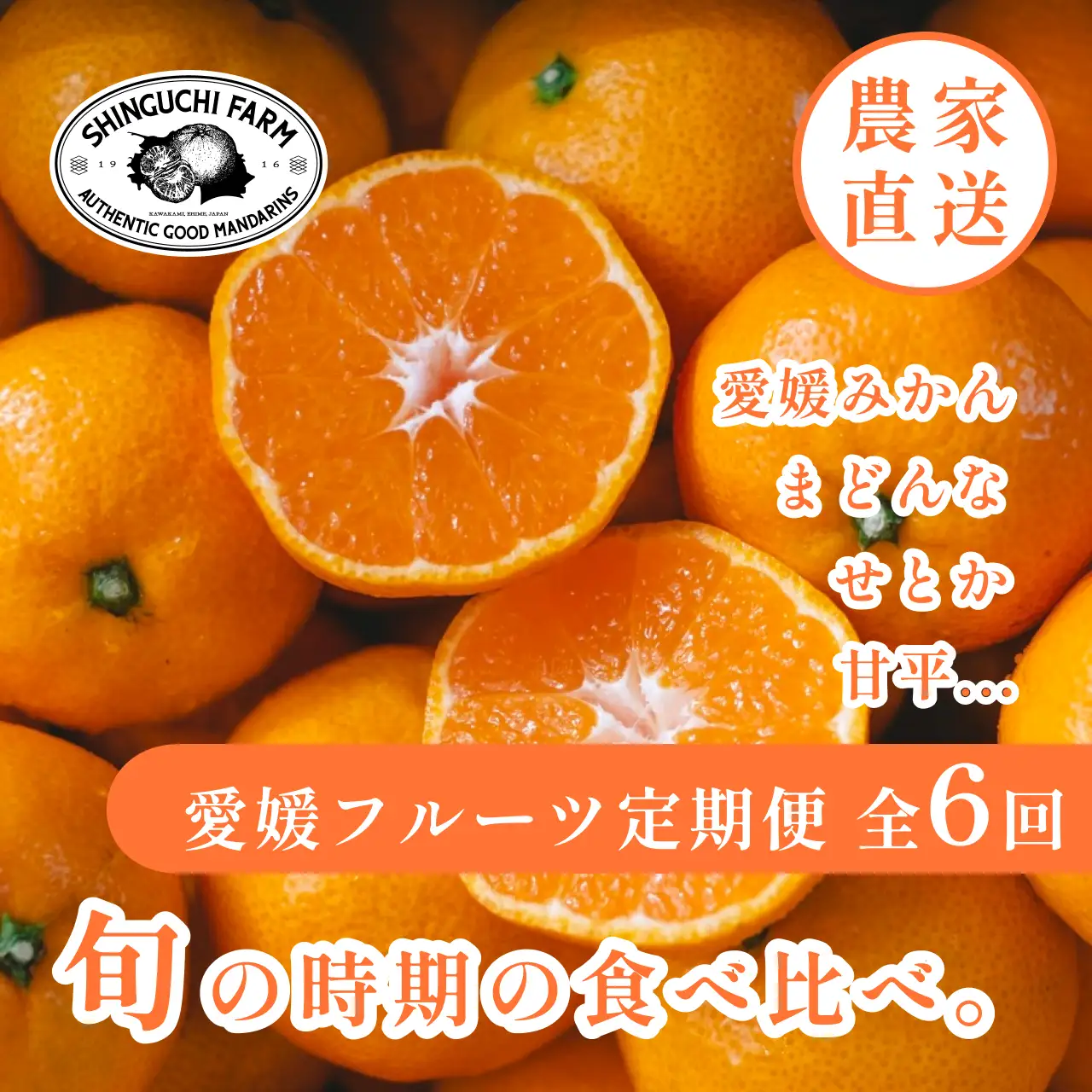 【発送月固定定期便】愛媛の美味しい柑橘 人気6品種 まどんな・甘平・せとか等【H70-41】全6回【4055158】 YWTK041