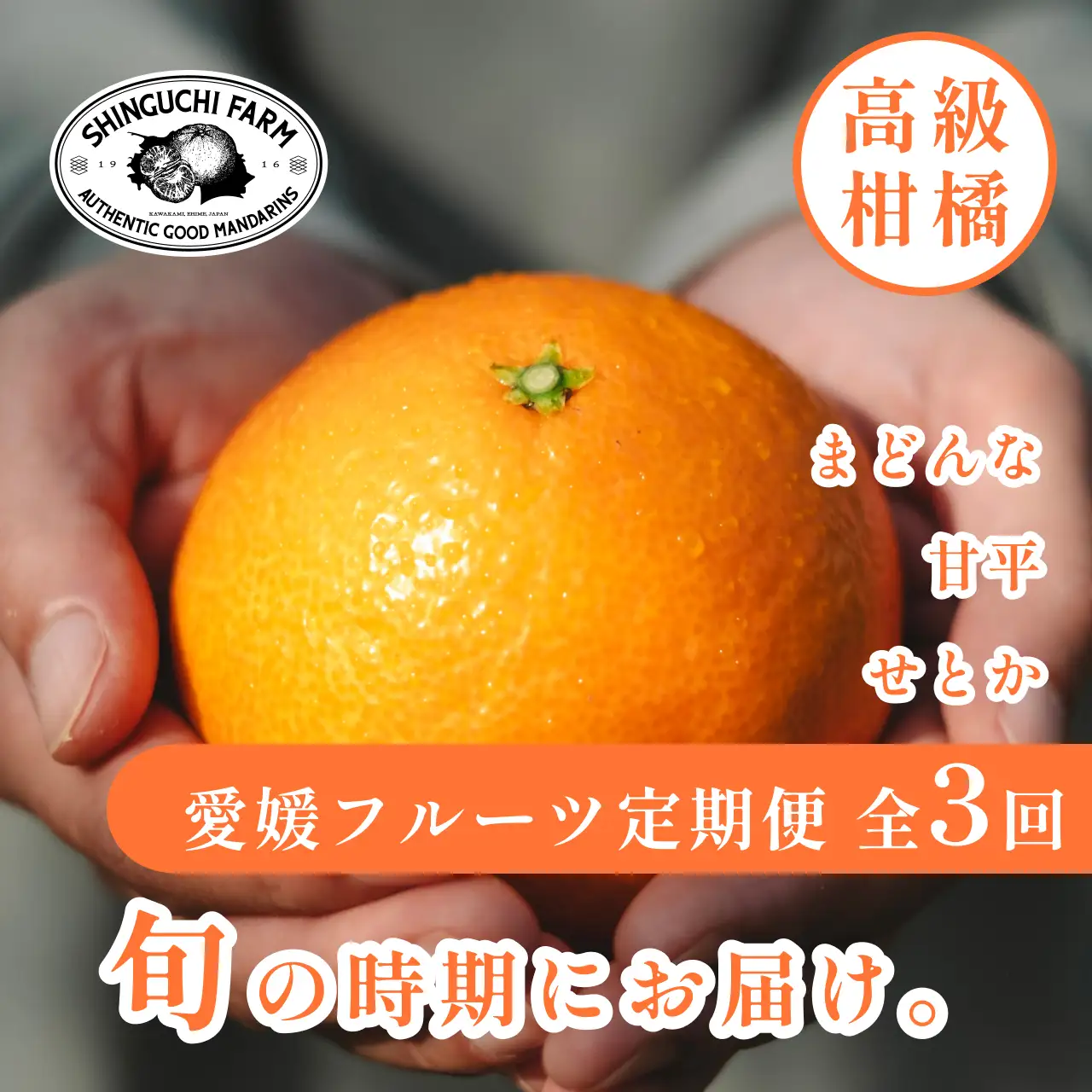 【発送月固定定期便】愛媛の人気高級フルーツ まどんな・甘平・せとか【H70-42】全3回【4055160】 YWTK042