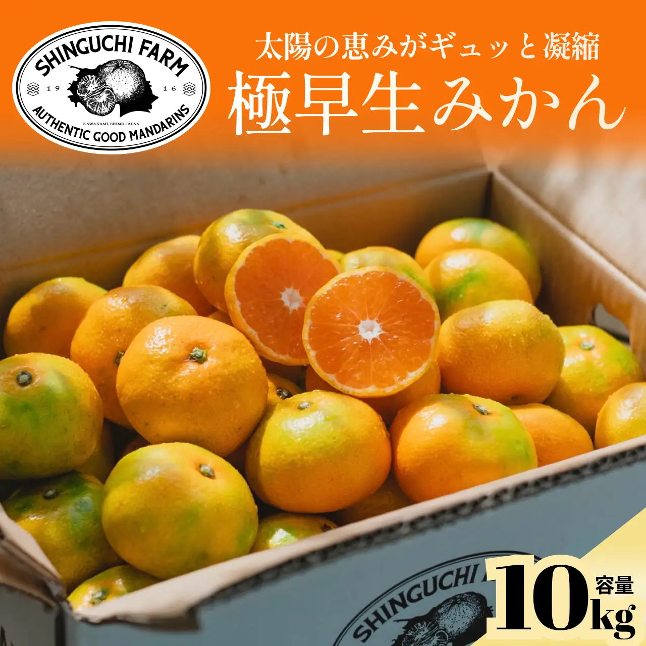 【先行受付】五代目が厳選した【極早生みかん10kg】愛媛県川上産【E70-35】【1536338】 YWTK035