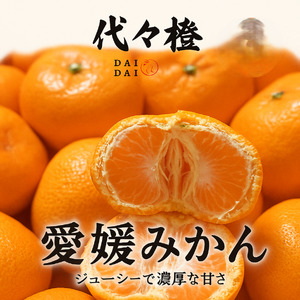 【先行受付】代々橙みかん10kg(家庭用・サイズ混合)【E83-5】【1543880】 YWTW005