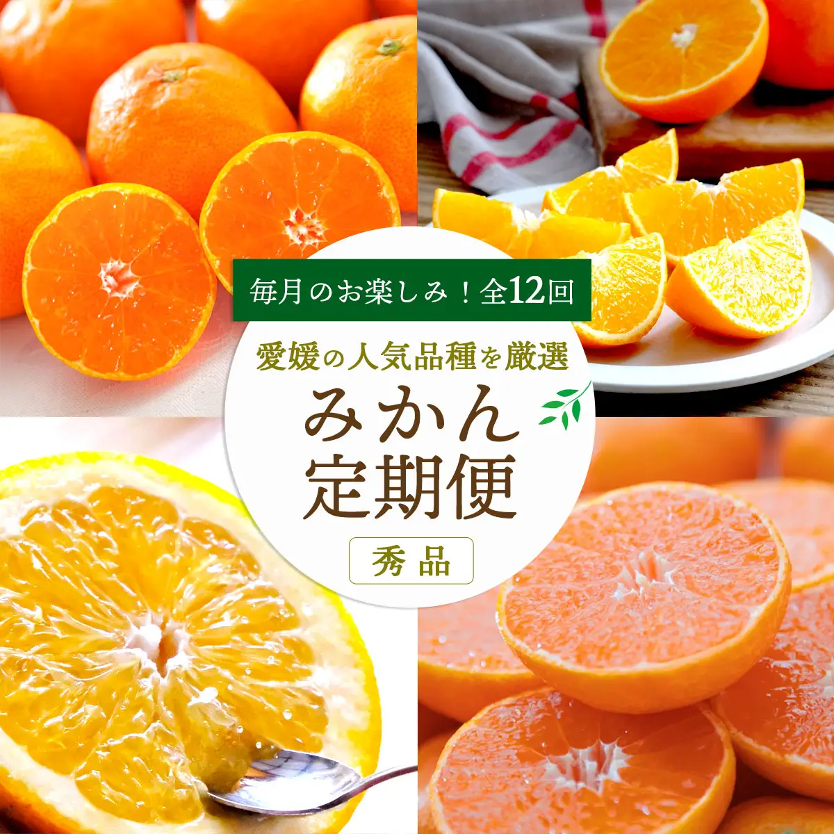 【発送月固定定期便】愛媛の人気品種を厳選!みかん定期便(訳あり)【H25-171】全12回【配送不可地域：離島】【4056289】 YWTAP112