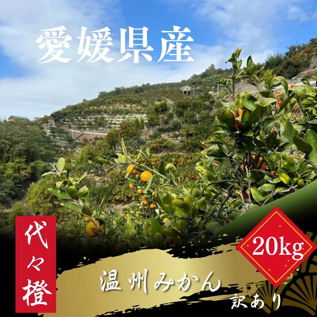 【先行受付】代々橙みかん20kg (家庭用・サイズ混合)【H83-11】【1543881】 YWTW011
