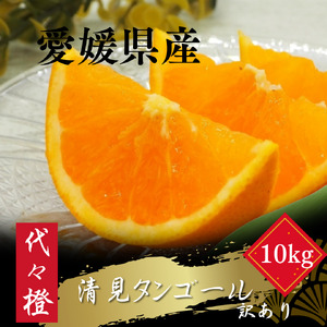 【先行受付】【トロッととろける果実】【訳あり】清見タンゴール 10kg【E83-26】【1557490】 YWTW026