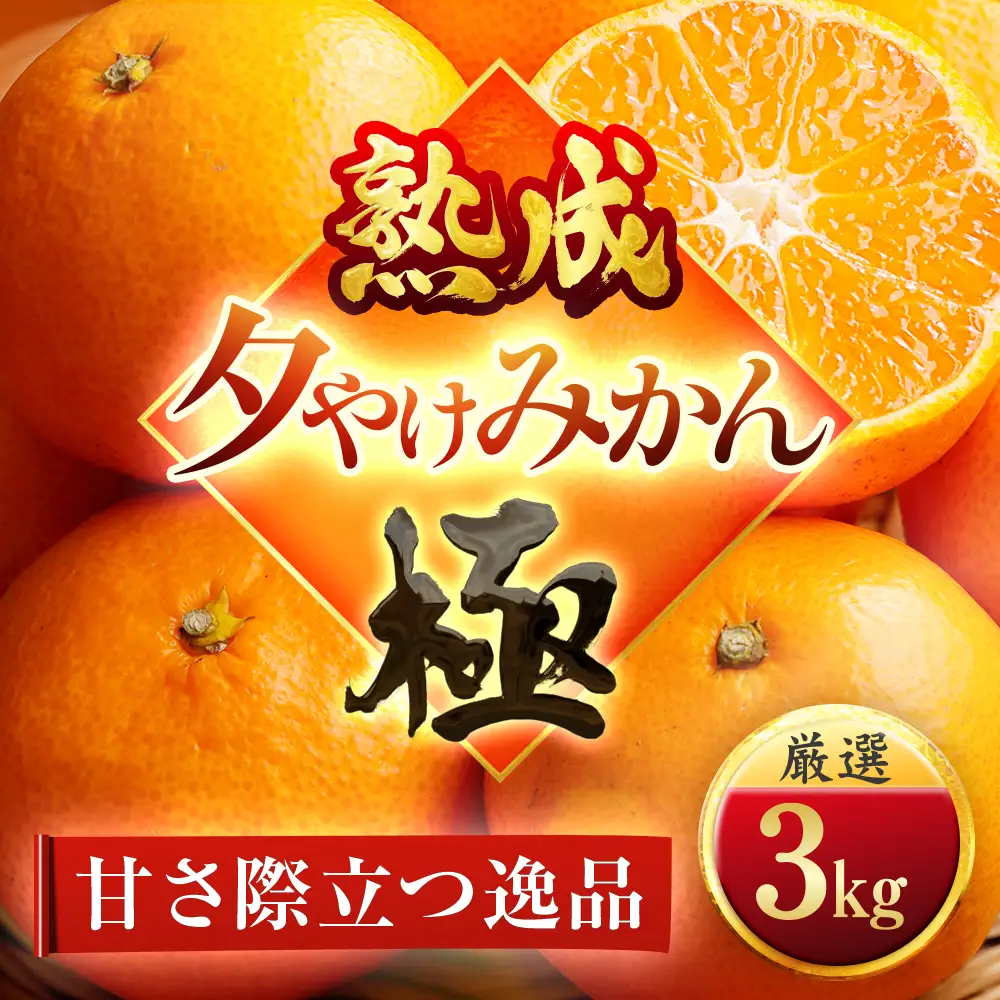 【先行受付】【完熟＆熟成】愛媛で育った夕やけみかん【極】3kg　※年明け発送【C49-77】【1557679】 YWTZ062
