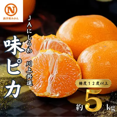 【先行受付】JAにしうわの季節の柑橘(川上共選味ピカ5kg)【E08-24】 YWTV011