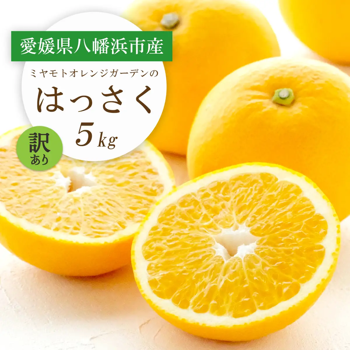 【先行受付】ぷりぷり!酸味さわやか 八朔(はっさく) 5kg【訳あり】【C25-188】【1609989】 YWTAP129