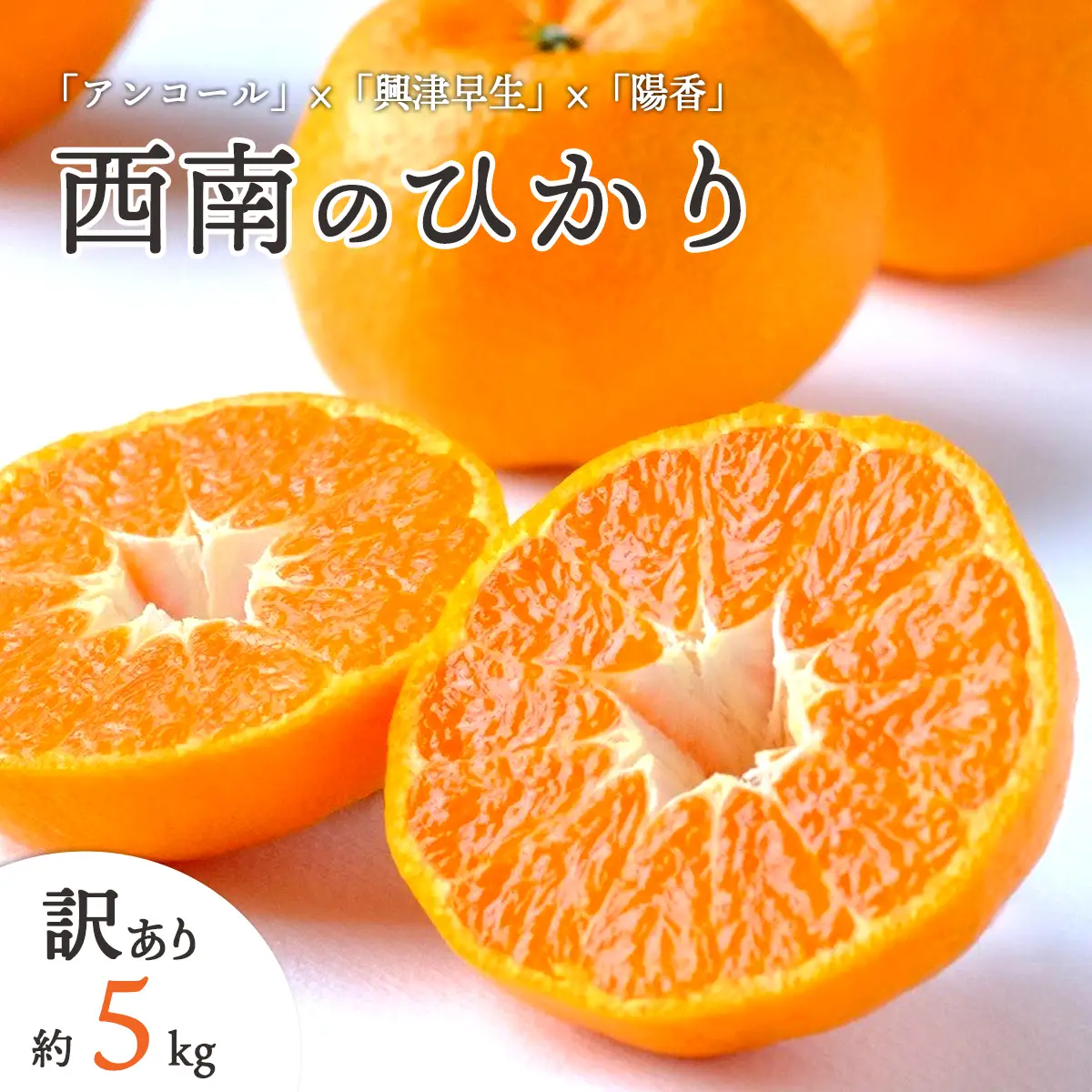 【先行受付】愛媛県八幡浜市産 西南のひかり 5kg【訳あり】【C25-192】【1610089】 YWTAP133