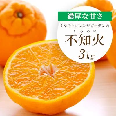 【先行受付】デコポンと同品種 濃厚柑橘 不知火(しらぬい) 3kg【C25-203】【1612369】 YWTAP144