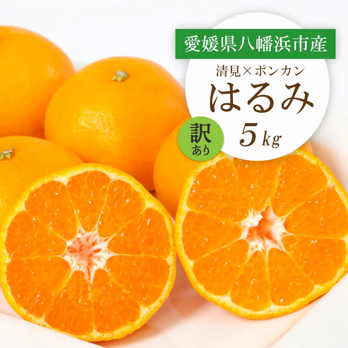 【先行受付】愛媛県八幡浜市産 はるみ5kg【訳あり】【C25-209】【1612666】 YWTAP150