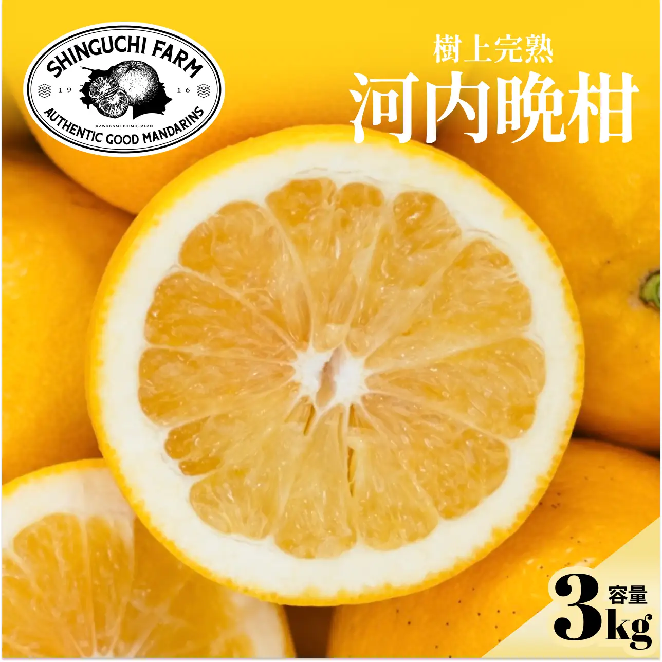 【先行受付】【太陽の恵みをギュッと凝縮】河内晩柑 3kg 愛媛県産【C70-70】【1615822】 YWTK069