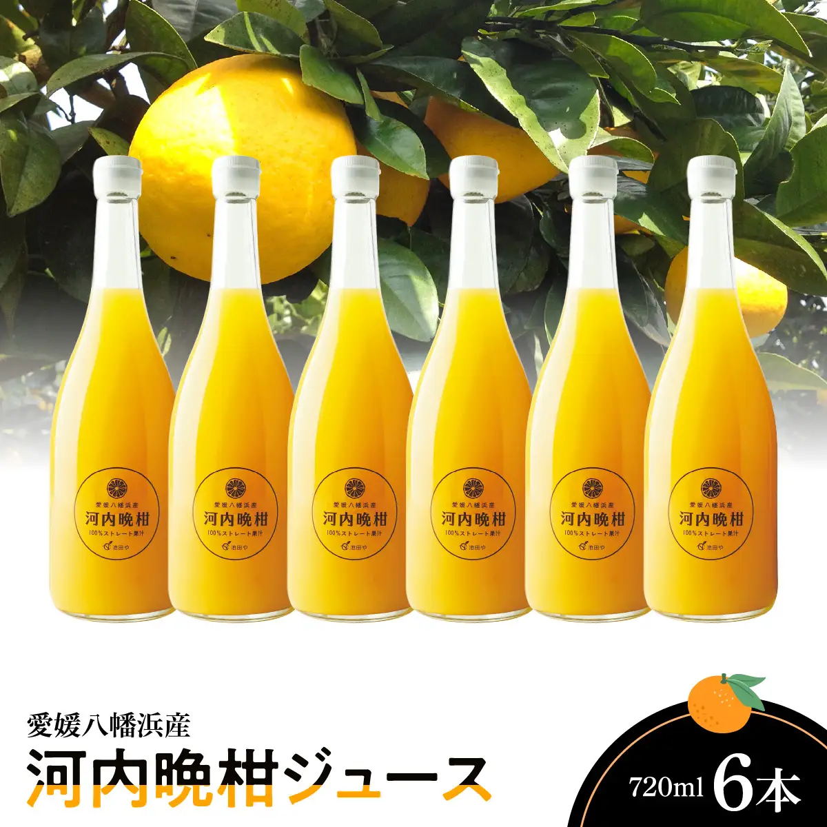 河内晩柑ジュース720ml×6本【E56-64】【1618485】 YWTAS054